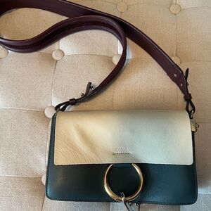Chloé Faye Color Block Small Green White Smooth and Suede Leather Cross Body Bag